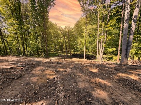 Photo of 839 Josana Lane, New Market, TN 37820 (MLS # 1337609)