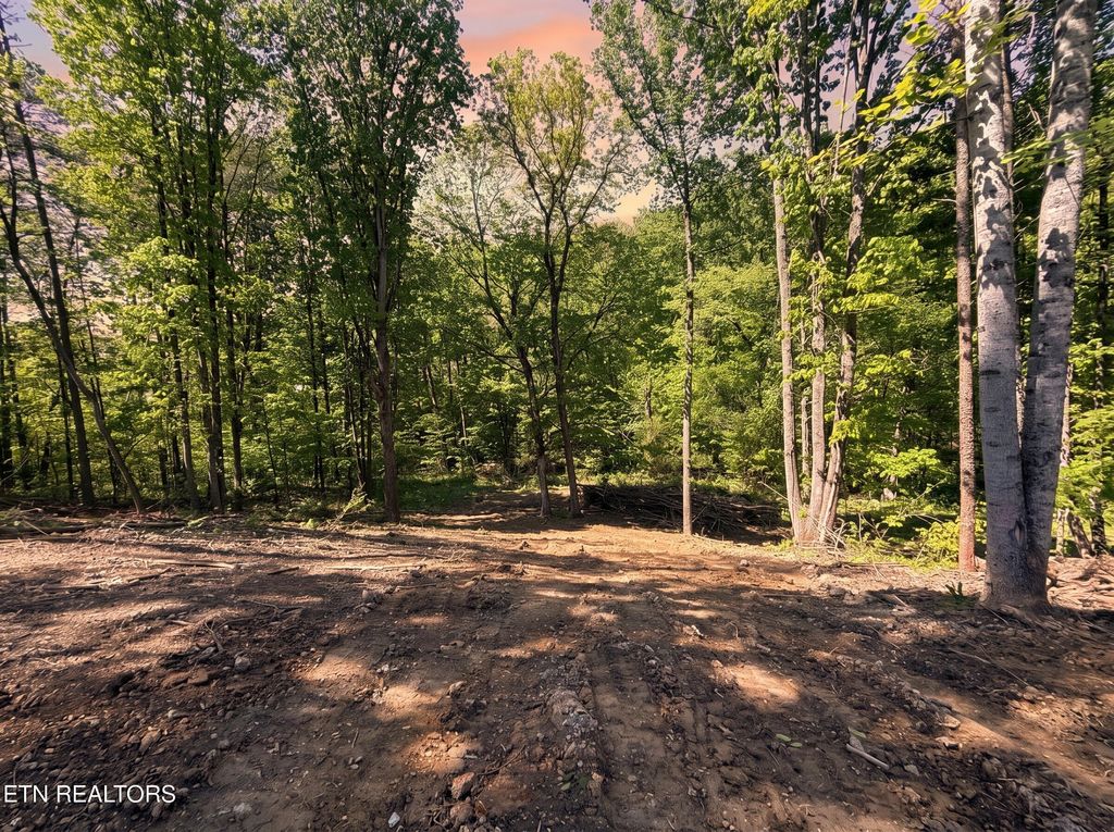 Photo of 839 Josana Lane, New Market, TN 37820 (MLS # 1337609)