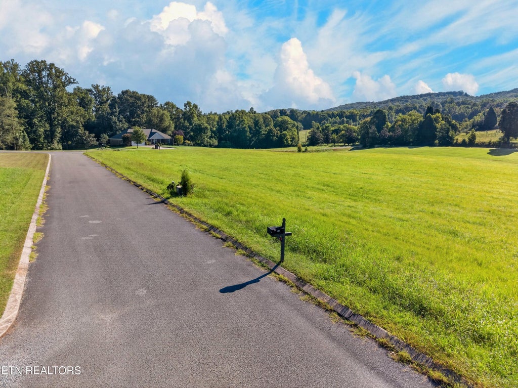 Photo of 0 Spring Harbor Drive #Lot 34, Spring City, TN 37381 (MLS # 1353294)