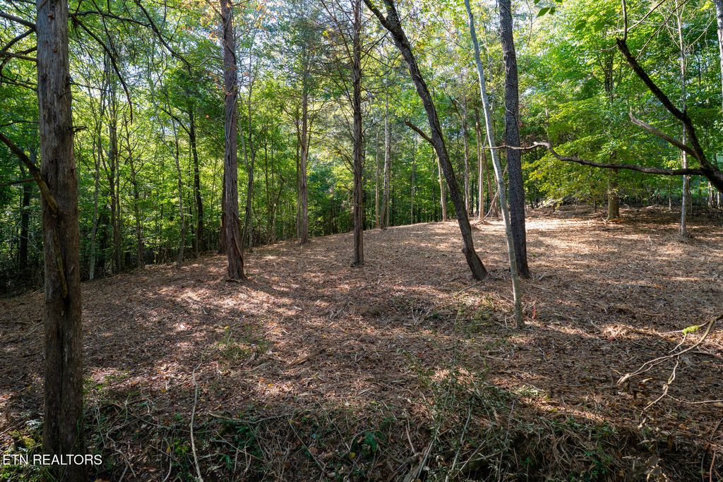 Photo of 358 Valley Drive, Loudon, TN 37774 (MLS # 1316094)