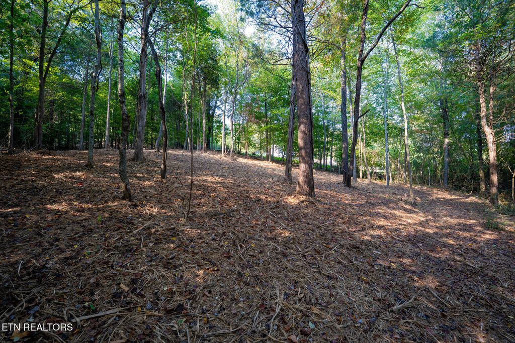 Photo of 358 Valley Drive, Loudon, TN 37774 (MLS # 1316094)
