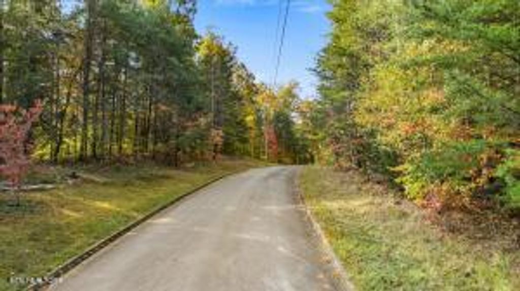 Photo of 106 Turtle Dove Tr, Dandridge, TN 37725 (MLS # 1281472)