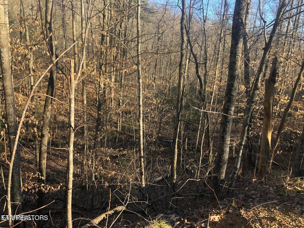 Photo of Yellowwood Drive, Sevierville, TN 37876 (MLS # 1358747)
