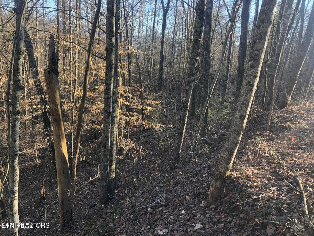 Photo of Yellowwood Drive, Sevierville, TN 37876 (MLS # 1358747)