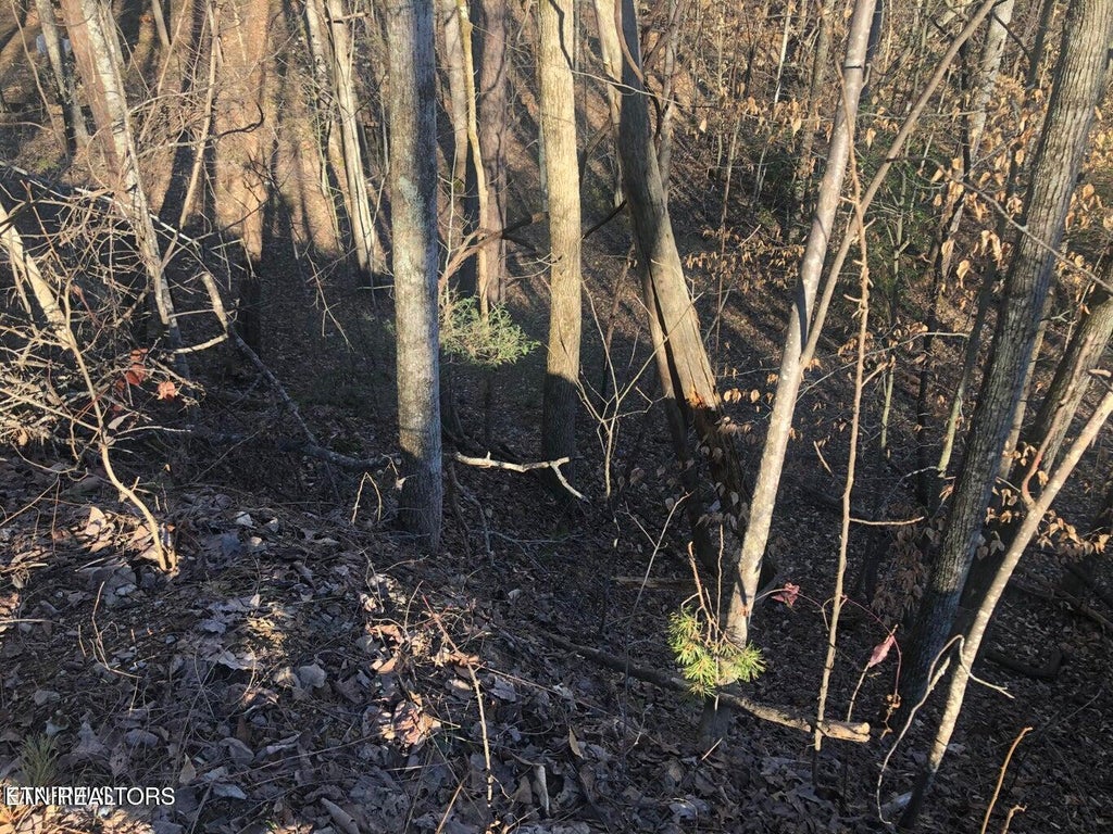 Photo of Yellowwood Drive, Sevierville, TN 37876 (MLS # 1358747)