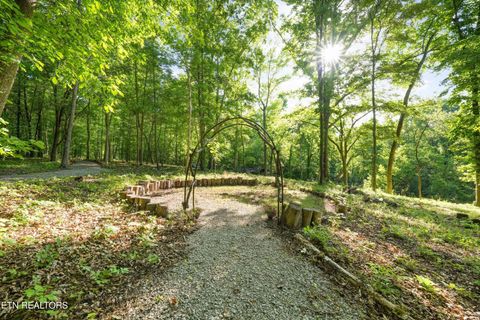 Tiny photo for 143 Old James Ferry Rd, Kingston, TN 37763 (MLS # 1339587)