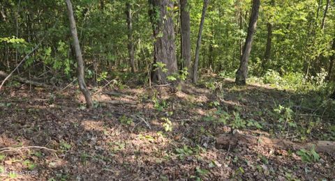 Tiny photo for 172 Saddleridge Drive, Speedwell, TN 37870 (MLS # 1340709)