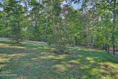 Tiny photo for 380 Mountain Preserve Pkwy, Crab Orchard, TN 37723 (MLS # 1359919)