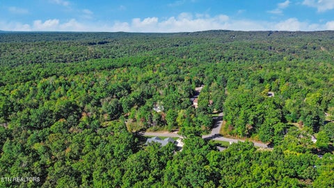Tiny photo for 380 Mountain Preserve Pkwy, Crab Orchard, TN 37723 (MLS # 1359919)