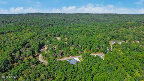 Tiny photo for 380 Mountain Preserve Pkwy, Crab Orchard, TN 37723 (MLS # 1359919)
