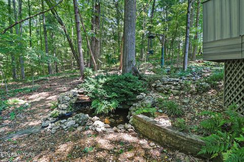 Tiny photo for 222 Foxfire Lane, Kingston, TN 37763 (MLS # 1347717)