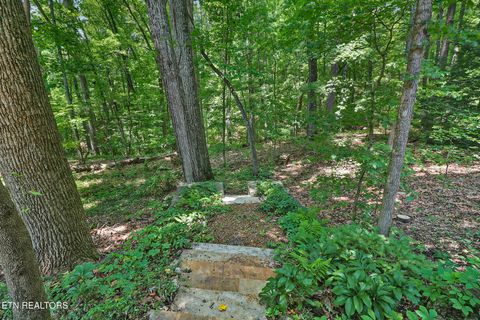 Tiny photo for 222 Foxfire Lane, Kingston, TN 37763 (MLS # 1347717)