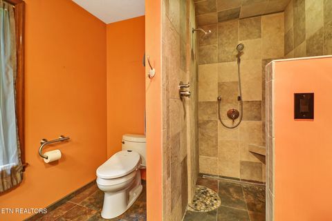 Tiny photo for 222 Foxfire Lane, Kingston, TN 37763 (MLS # 1347717)