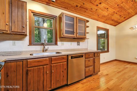 Tiny photo for 222 Foxfire Lane, Kingston, TN 37763 (MLS # 1347717)