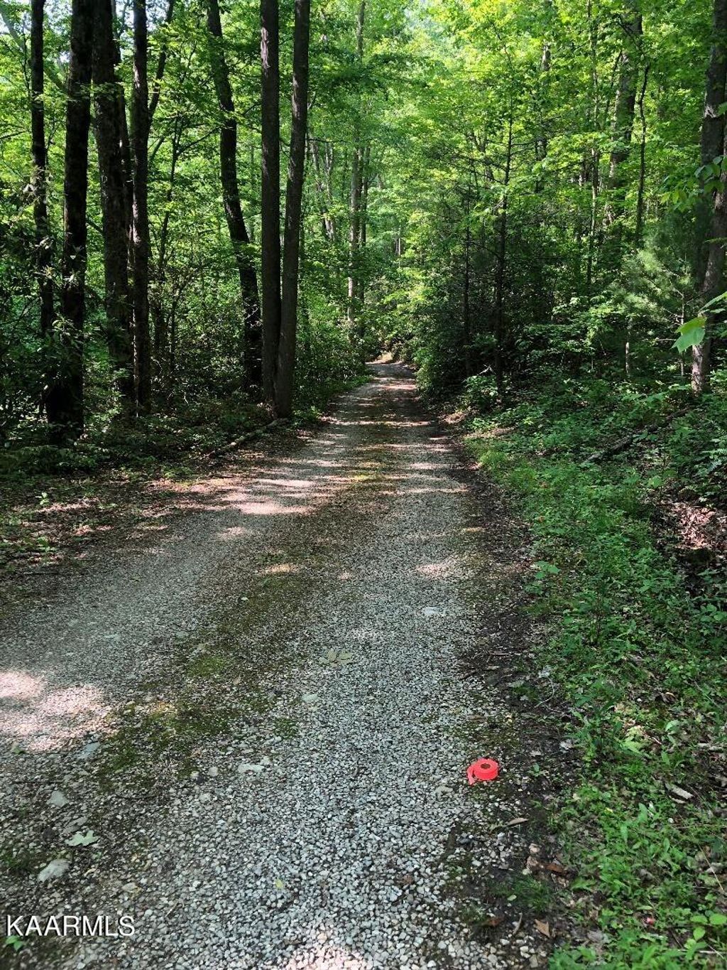 Photo of Carrs Creek Rd, Townsend, TN 37882 (MLS # 1228008)