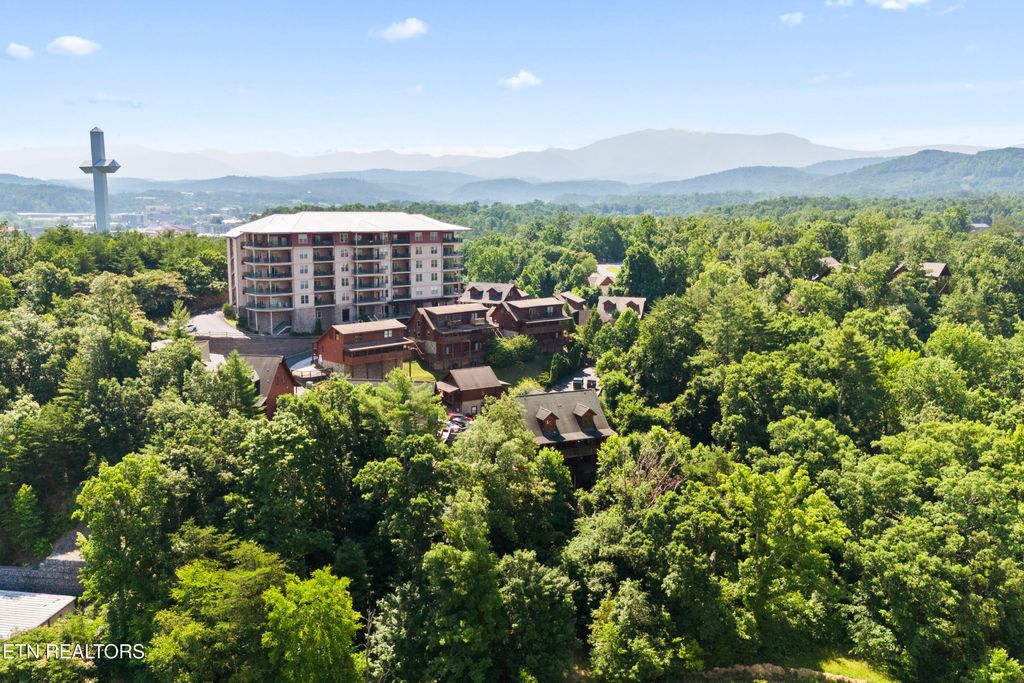 Photo of 411 Big Bear Way Way, Pigeon Forge, TN 37863 (MLS # 1284472)