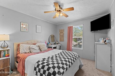 Tiny photo for 831 Pineridge Rd, Dandridge, TN 37725 (MLS # 1347431)