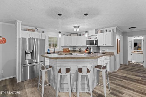 Tiny photo for 831 Pineridge Rd, Dandridge, TN 37725 (MLS # 1347431)