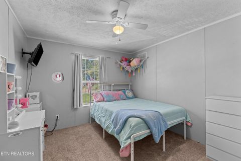 Tiny photo for 831 Pineridge Rd, Dandridge, TN 37725 (MLS # 1347431)