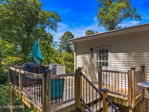 Tiny photo for 831 Pineridge Rd, Dandridge, TN 37725 (MLS # 1347431)