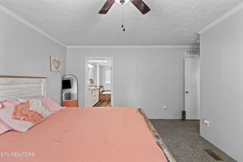 Tiny photo for 831 Pineridge Rd, Dandridge, TN 37725 (MLS # 1347431)