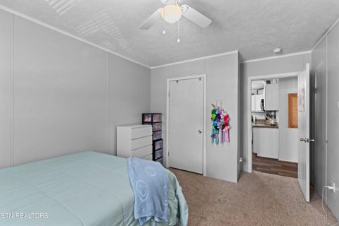 Tiny photo for 831 Pineridge Rd, Dandridge, TN 37725 (MLS # 1347431)