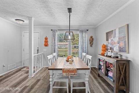 Tiny photo for 831 Pineridge Rd, Dandridge, TN 37725 (MLS # 1347431)