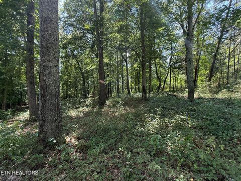 140 Padstow Lane Lenoir City TN 37772