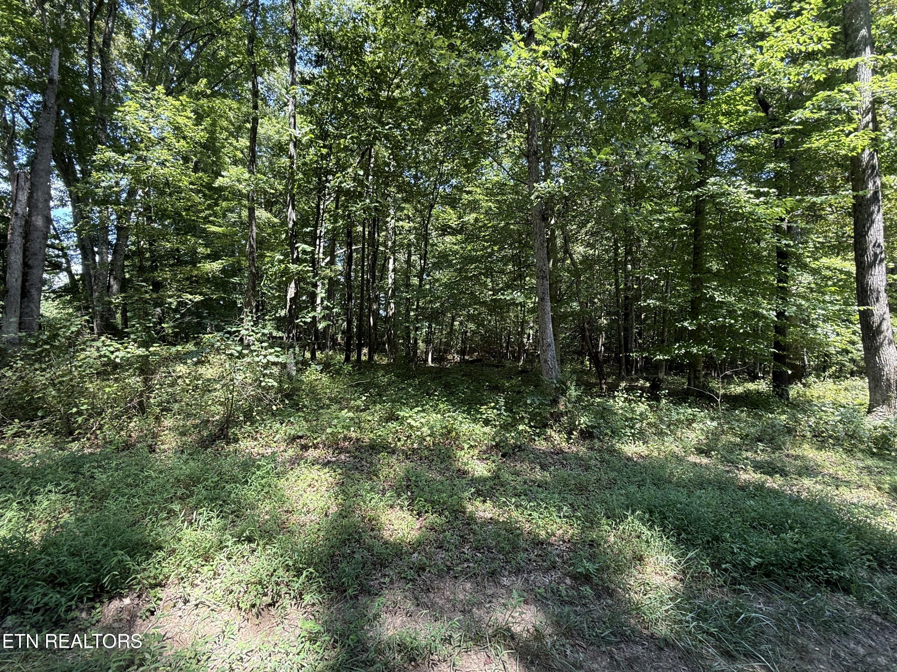 140 Padstow Lane