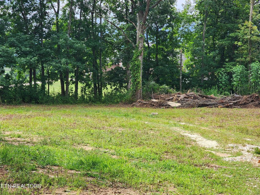 Photo of 163 Woodvine St, Jacksboro, TN 37757 (MLS # 1311487)
