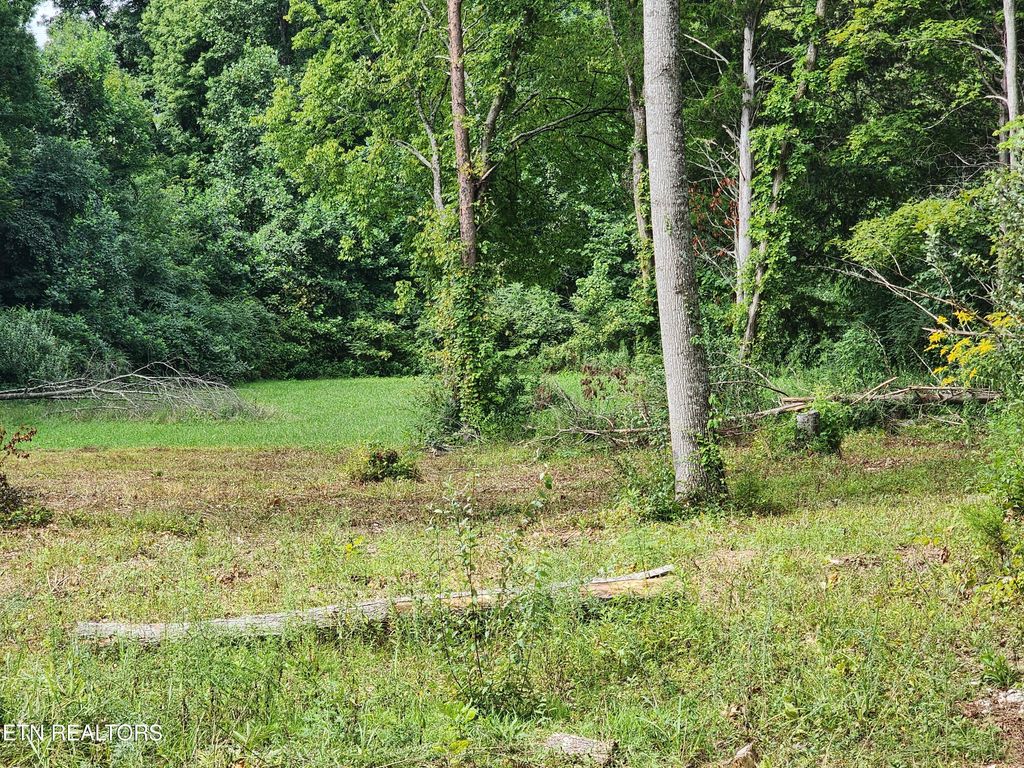 Photo of 163 Woodvine St, Jacksboro, TN 37757 (MLS # 1311487)