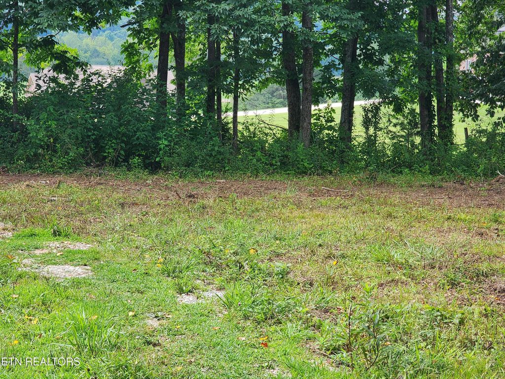 Photo of 163 Woodvine St, Jacksboro, TN 37757 (MLS # 1311487)