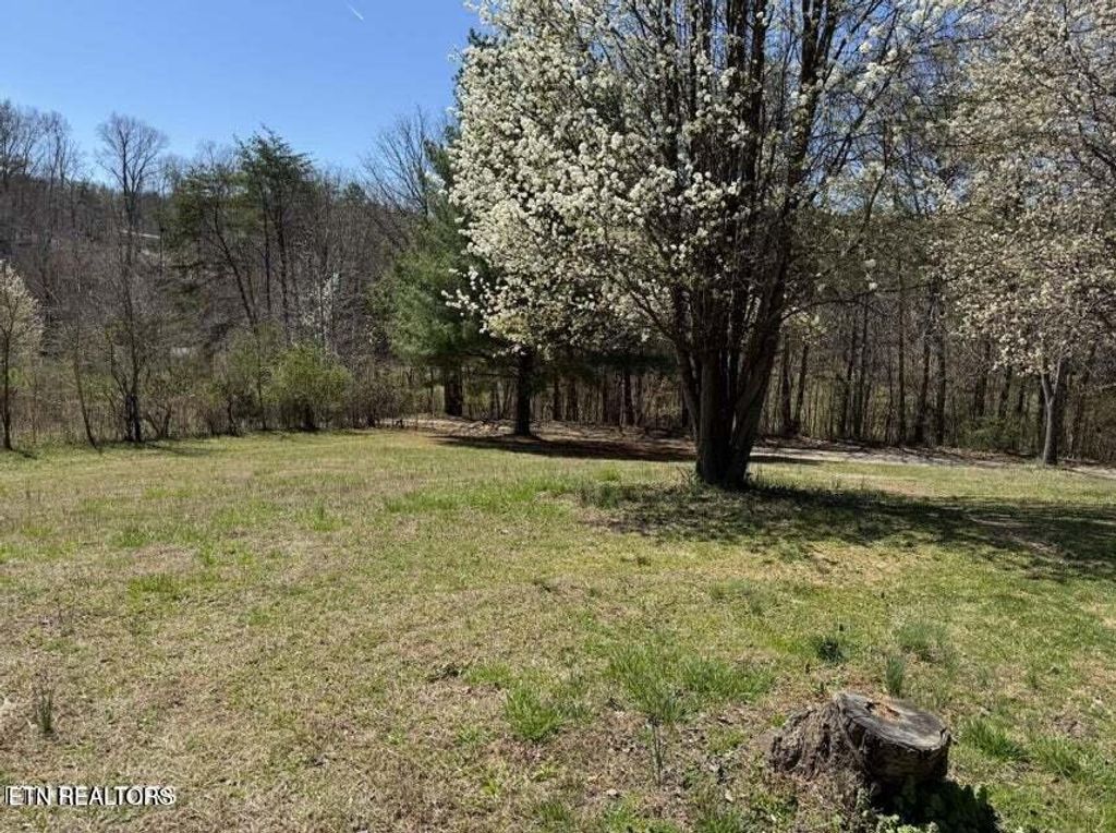 Photo of 531 Reagan Valley Rd, Tellico Plains, TN 37385 (MLS # 1320810)