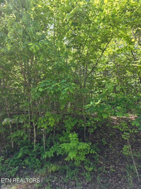 Tiny photo for Crestwood Drive, Speedwell, TN 37870 (MLS # 1339004)