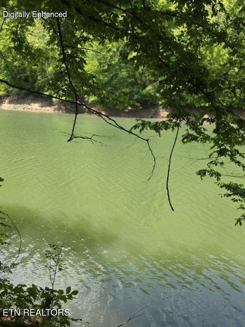 Photo of Crestwood Drive, Speedwell, TN 37870 (MLS # 1339004)