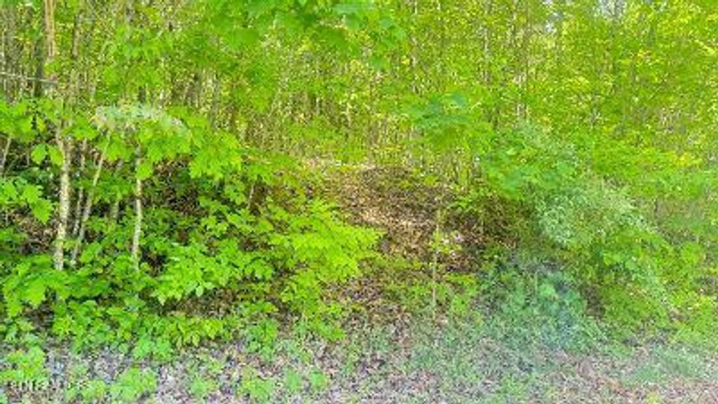 Photo of Crestwood Drive, Speedwell, TN 37870 (MLS # 1339004)