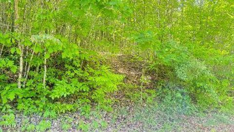 Tiny photo for Crestwood Drive, Speedwell, TN 37870 (MLS # 1339004)