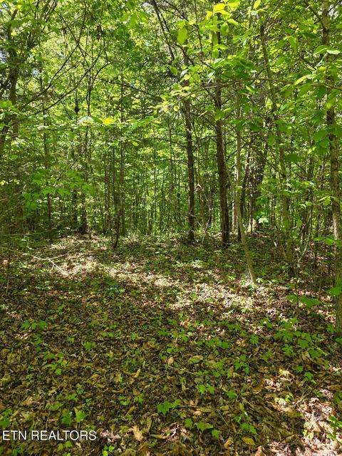 Tiny photo for Crestwood Drive, Speedwell, TN 37870 (MLS # 1339004)