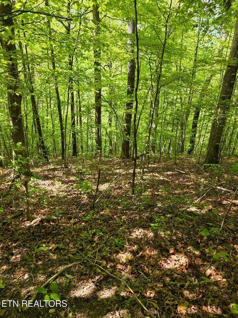 Tiny photo for Crestwood Drive, Speedwell, TN 37870 (MLS # 1339004)