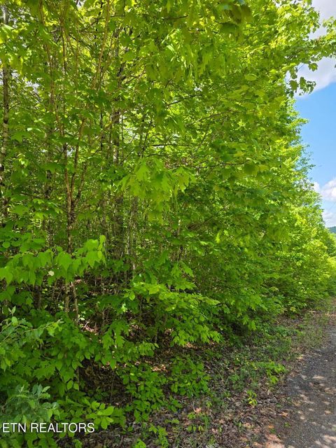 Tiny photo for Crestwood Drive, Speedwell, TN 37870 (MLS # 1339004)