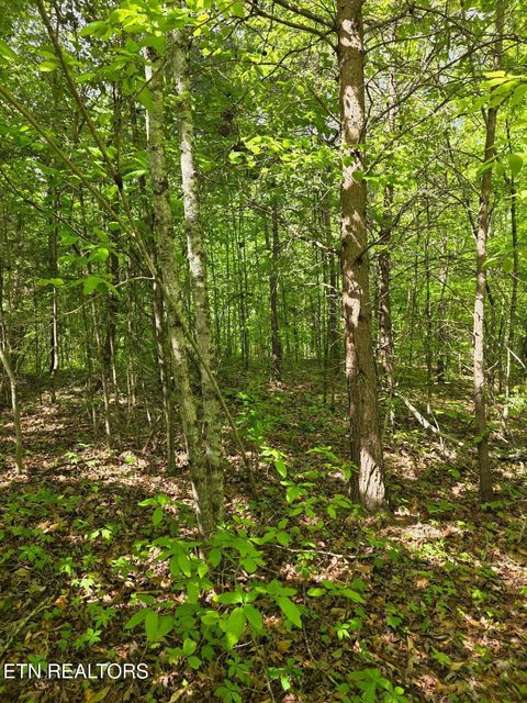 Tiny photo for Crestwood Drive, Speedwell, TN 37870 (MLS # 1339004)