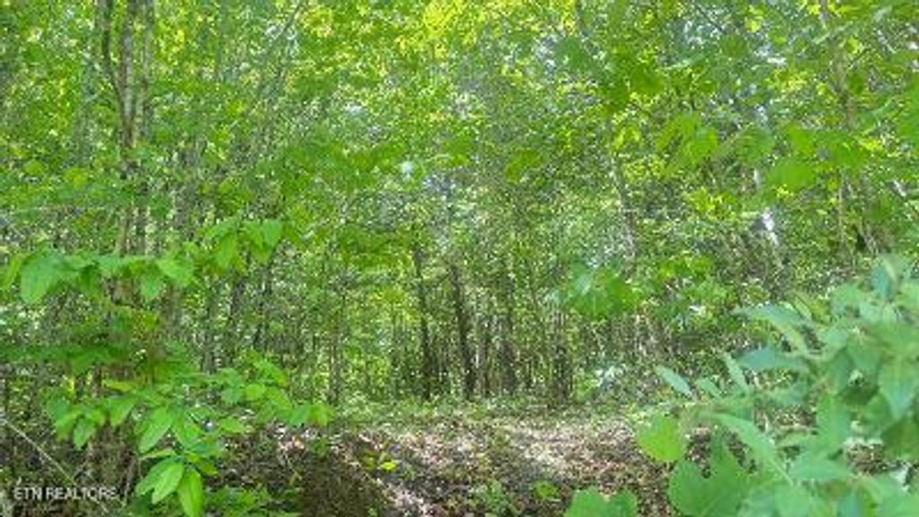 Photo of Crestwood Drive, Speedwell, TN 37870 (MLS # 1339004)