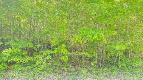 Tiny photo for Crestwood Drive, Speedwell, TN 37870 (MLS # 1339004)