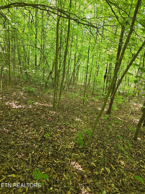 Tiny photo for Crestwood Drive, Speedwell, TN 37870 (MLS # 1339004)