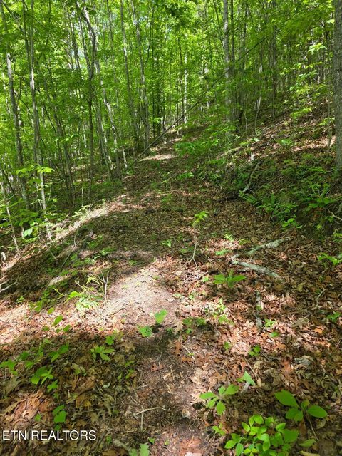 Tiny photo for Crestwood Drive, Speedwell, TN 37870 (MLS # 1339004)