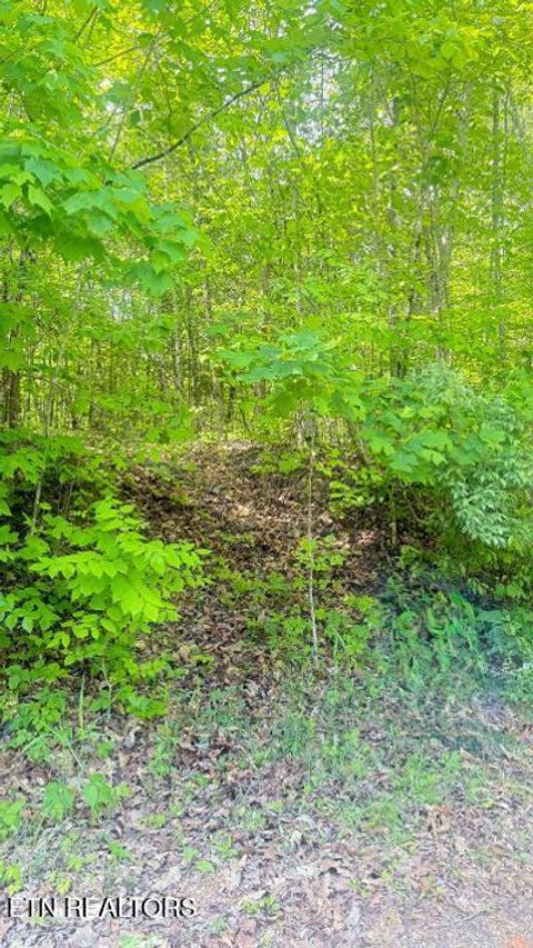Tiny photo for Crestwood Drive, Speedwell, TN 37870 (MLS # 1339004)
