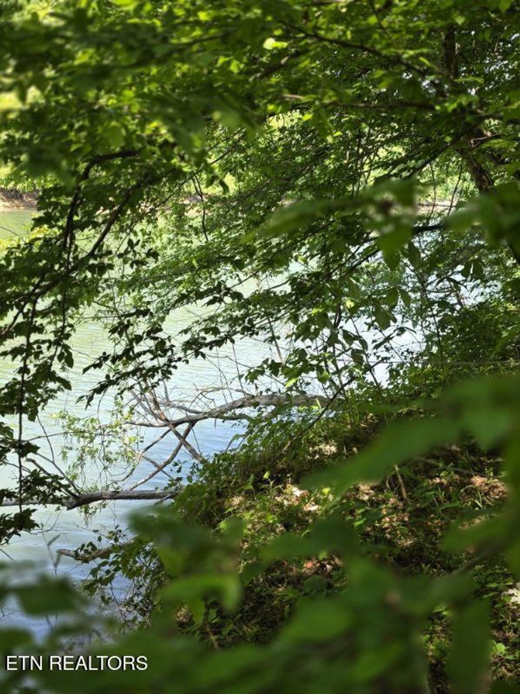 Photo of Crestwood Drive, Speedwell, TN 37870 (MLS # 1339004)