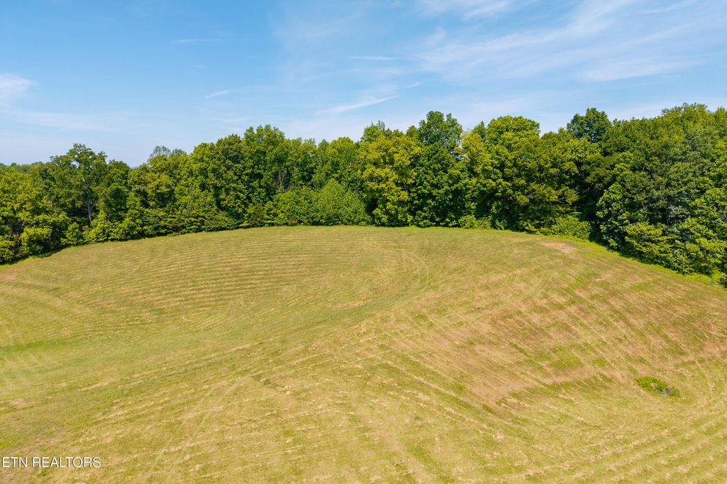 Photo of 585 J T Foster Rd, Allons, TN 38541 (MLS # 1342149)