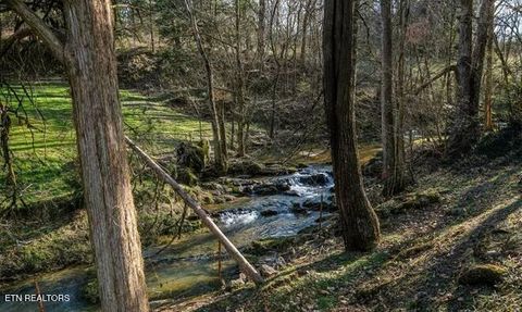 Tiny photo for 1840 Trout Way, Sevierville, TN 37862 (MLS # 1298637)