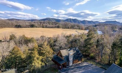 Tiny photo for 1840 Trout Way, Sevierville, TN 37862 (MLS # 1298637)